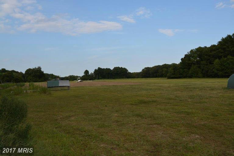 31517 OLD ORCHARD ROAD, Trappe, MD 21673