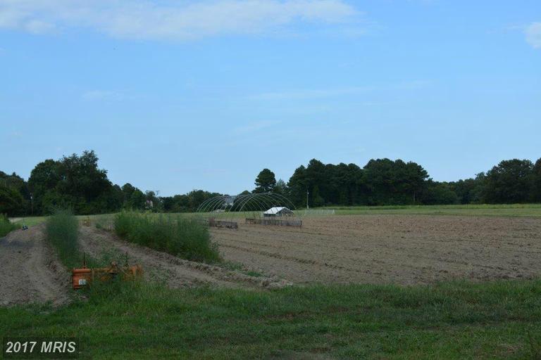 31517 OLD ORCHARD ROAD, Trappe, MD 21673