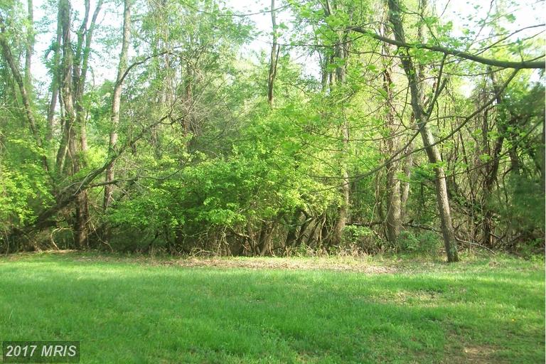 12613 WALNUT VALLEY COURT, Worton, MD 21678