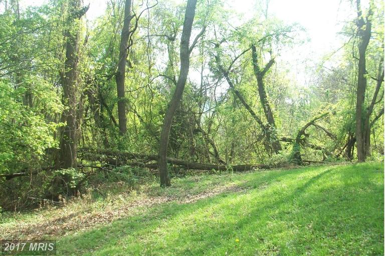 12613 WALNUT VALLEY COURT, Worton, MD 21678