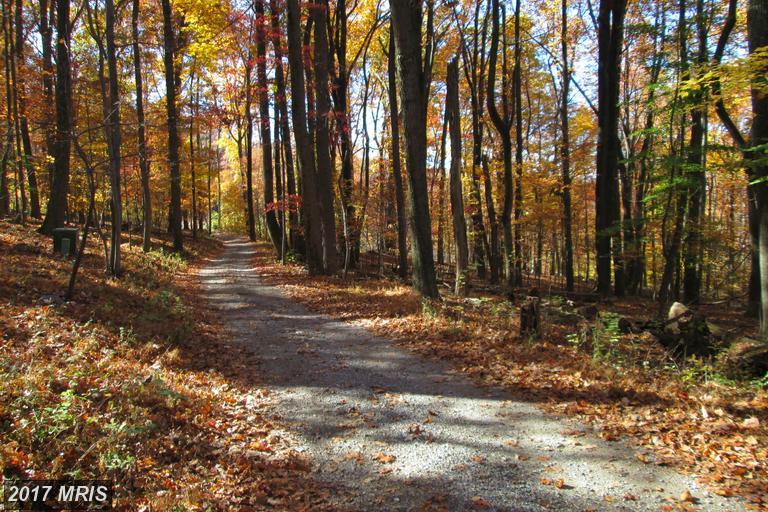 GILARDI ROAD, Boonsboro, MD 21713