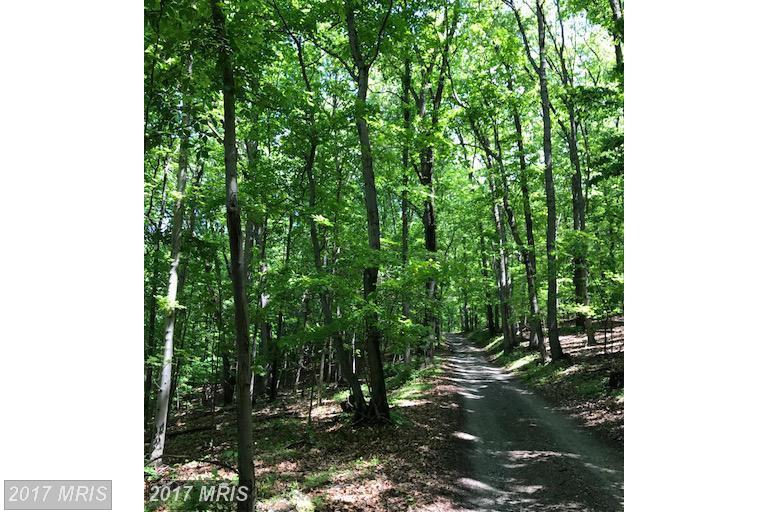 GILARDI ROAD, Boonsboro, MD 21713