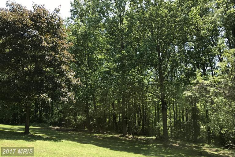 3801 CHAUCER COURT, Monrovia, MD 21770