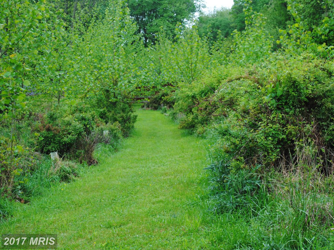 PARCEL D TINKER HILL RD, Woodbine, MD 21797