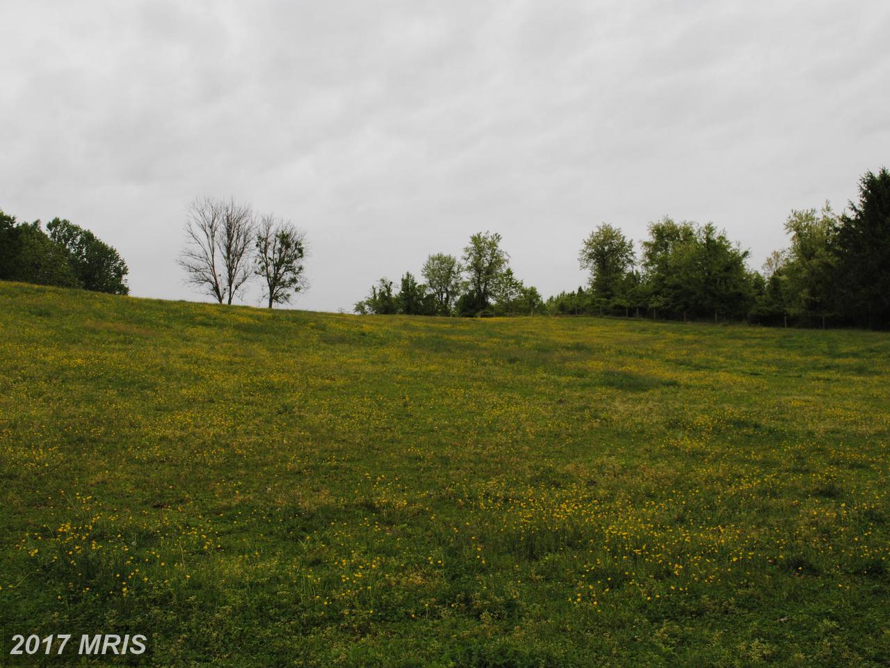 PARCEL D TINKER HILL RD, Woodbine, MD 21797