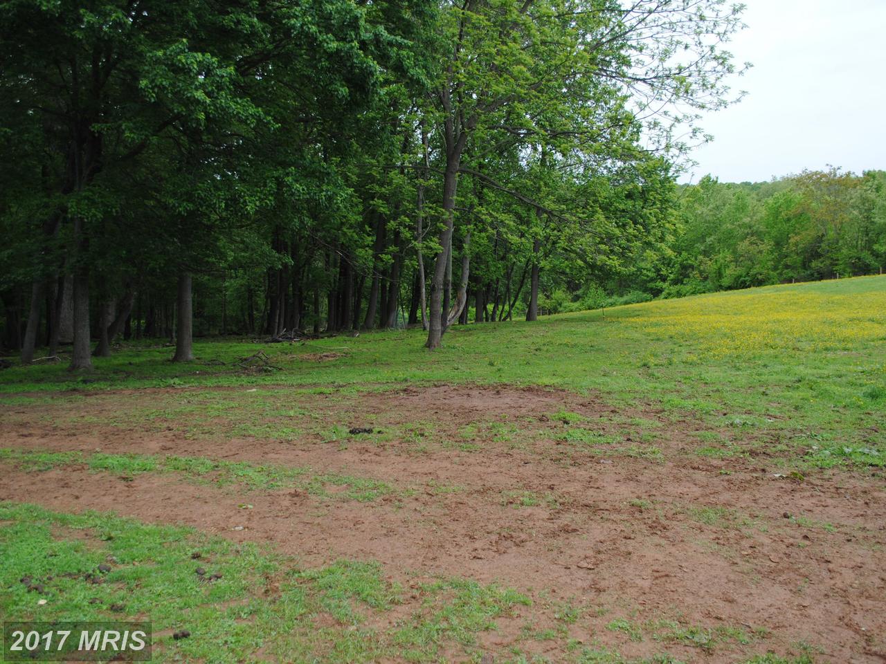 PARCEL D TINKER HILL RD, Woodbine, MD 21797
