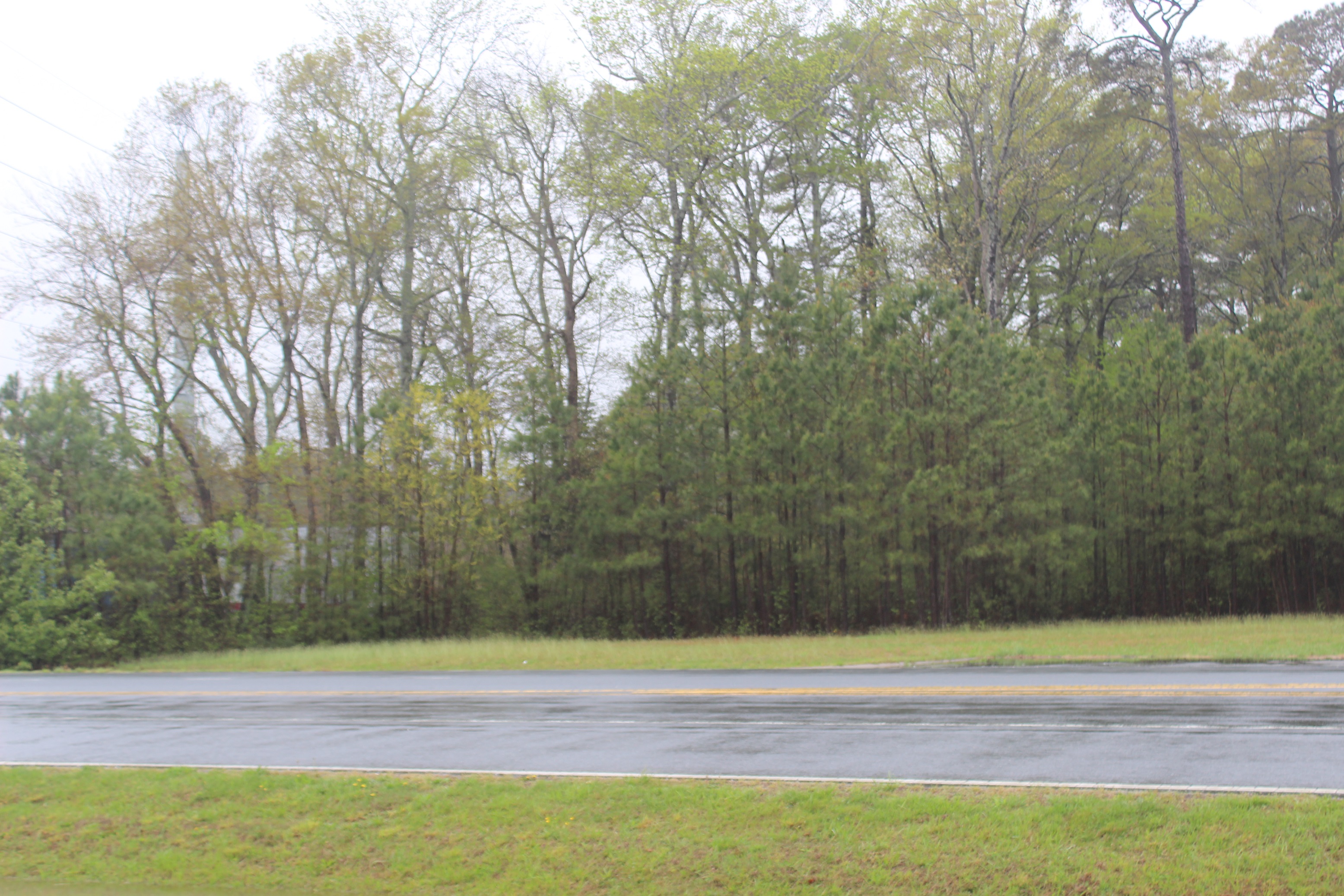 Stephen Decatur Highway, Ocean, MD 21842