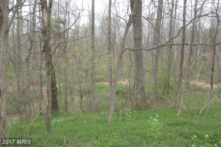 71 MERRY KNOLL LANE, Conowingo, MD 21918