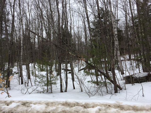 Mast Rd, Alfred, ME 04002