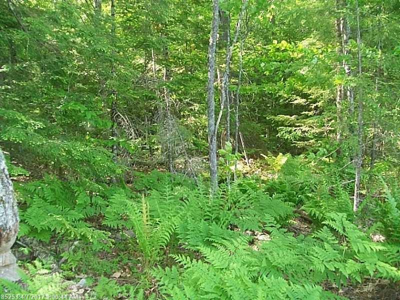 0  Commons DR, Bridgton, ME 04009
