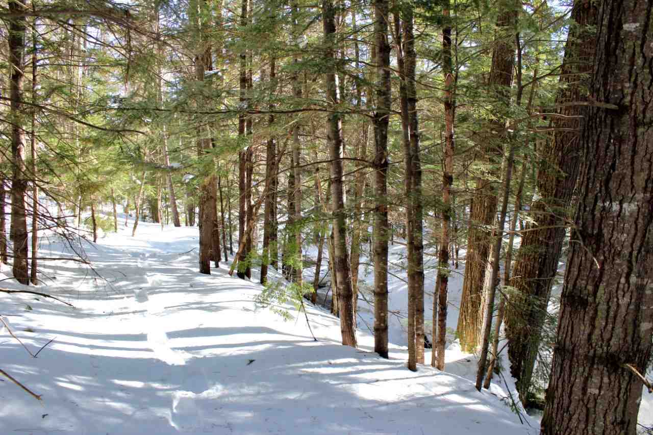 0 Haley Town Road, Brownfield, ME 04010