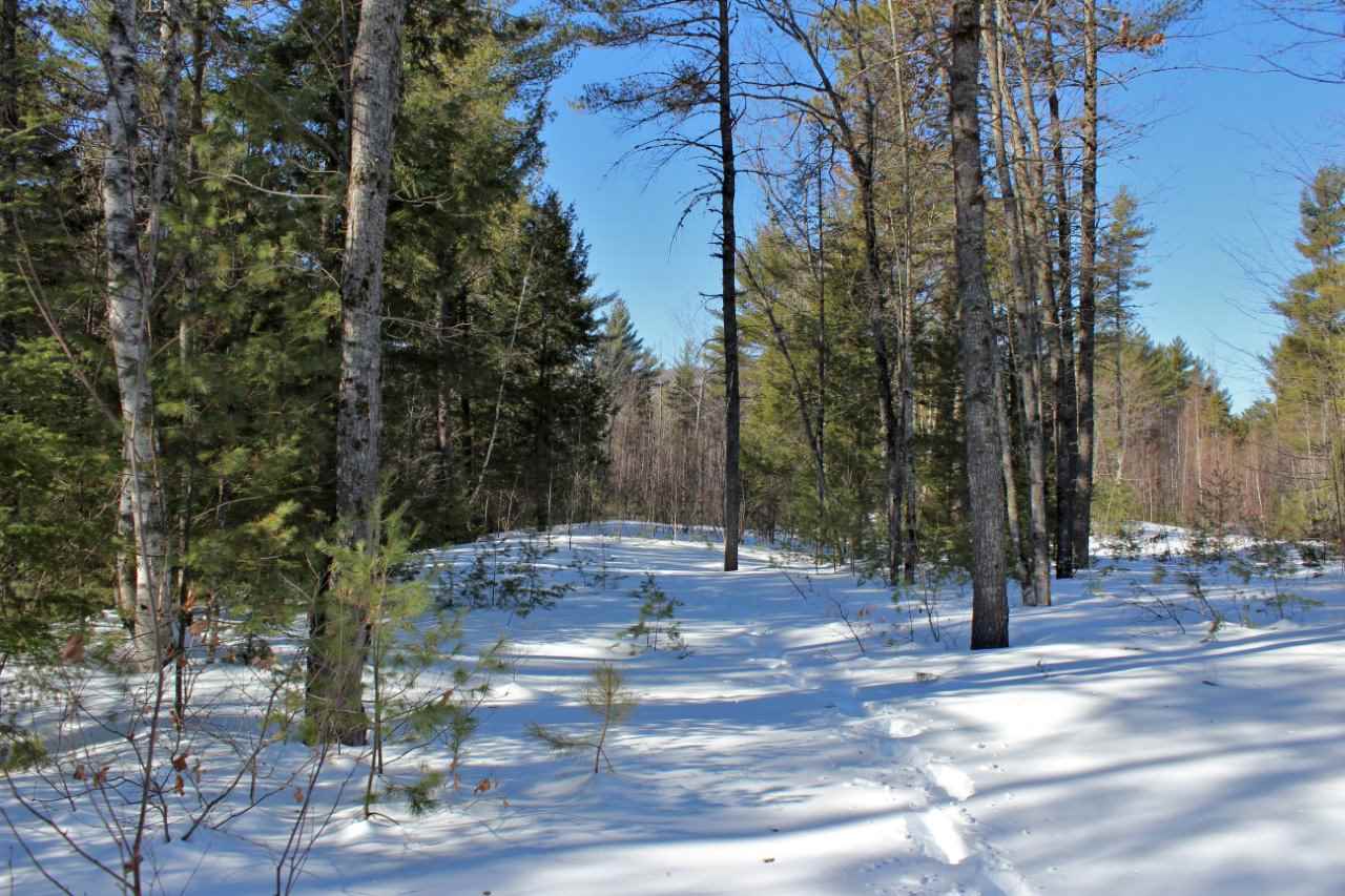 0 Haley Town Road, Brownfield, ME 04010