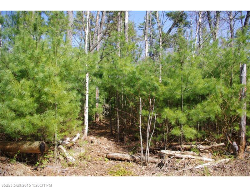 Lot 4 Breezy Point Road, Brunswick, ME 04011