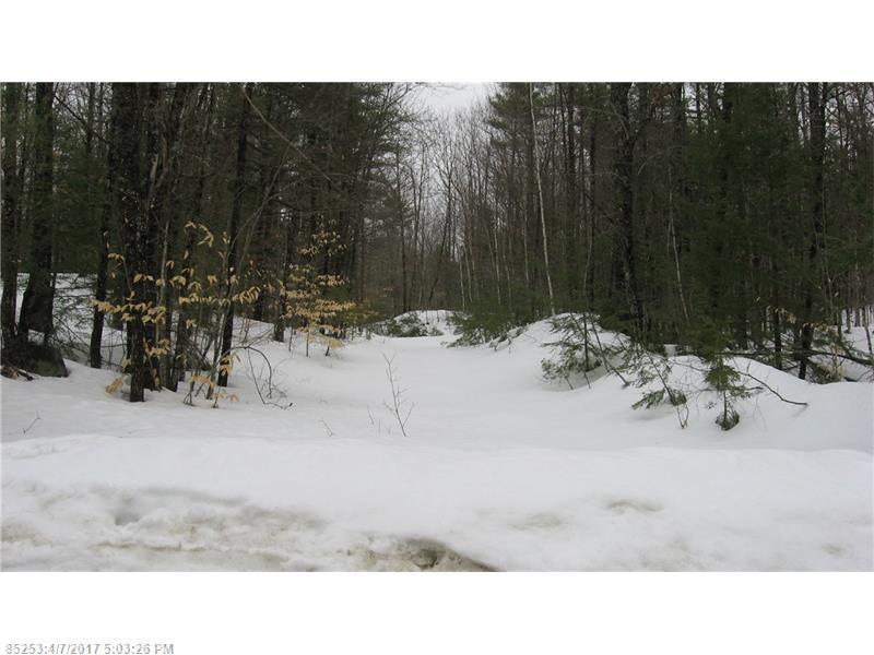 Lot 103A Schrader DR, Denmark, ME 04022