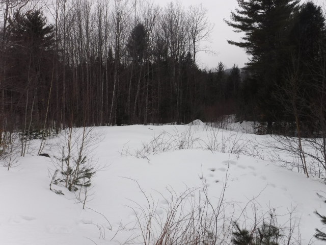 320 Folly RoadSebago, ME, 04029Cumberland County