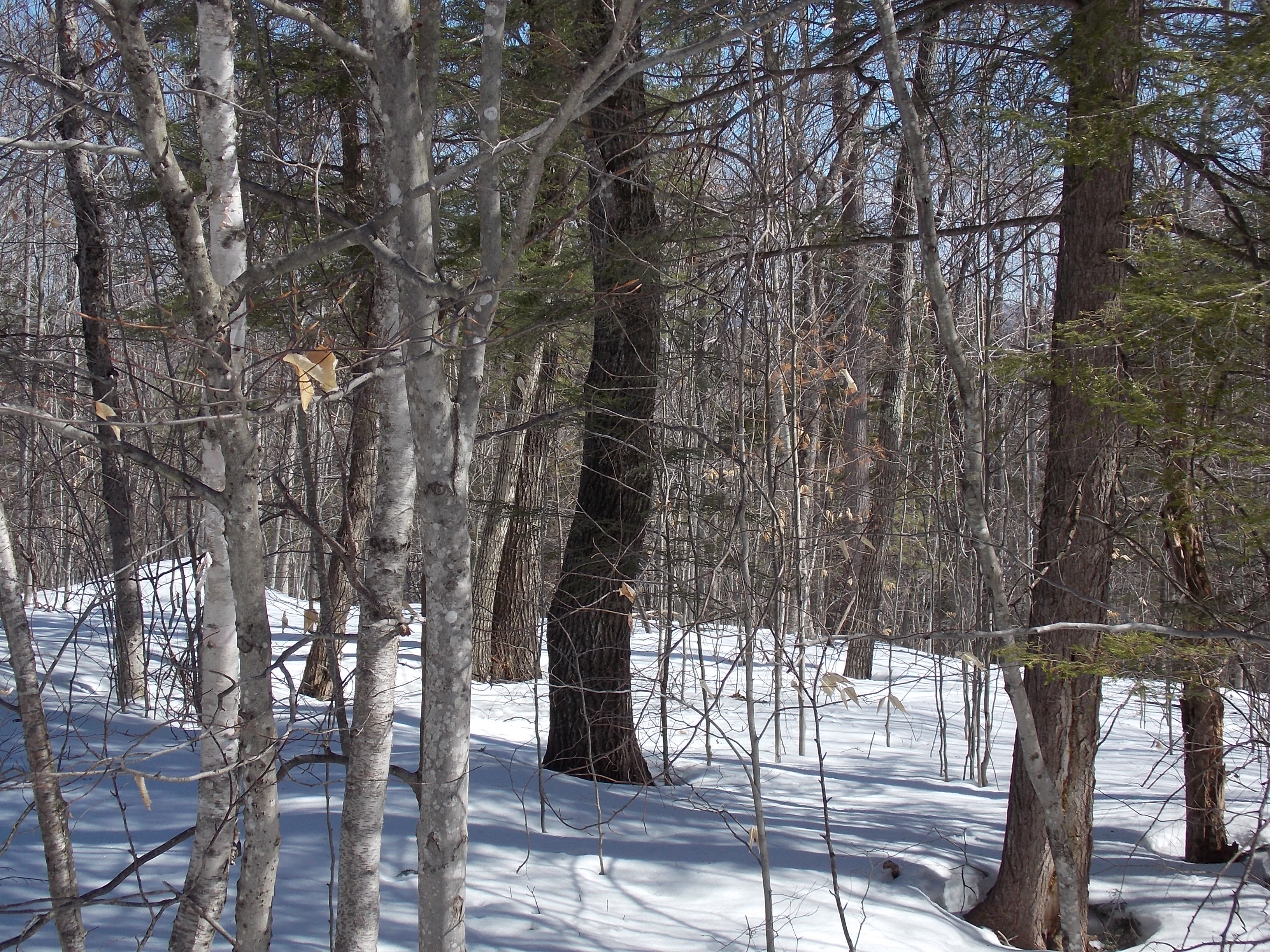 9C2 Highland Park, Fryeburg, ME 04037
