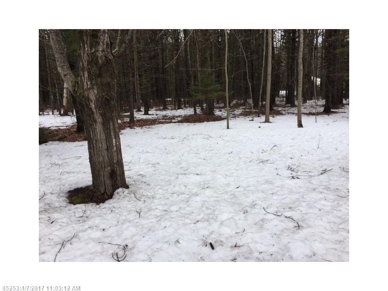 R13-79 Maplecrest RD, Parsonsfield, ME 04047