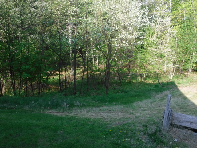 124 Chellis RoadWest Newfield, ME, 04095York County