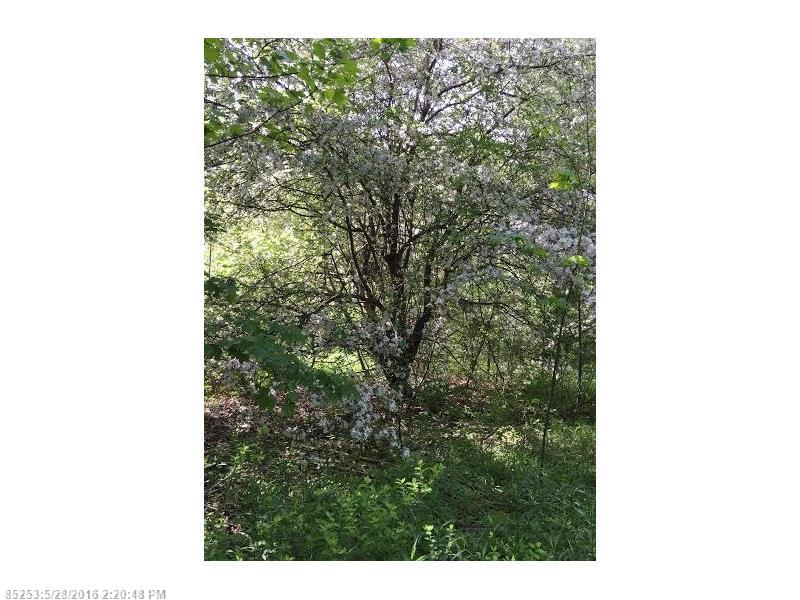 0 Wessex,Lomond, Portland, ME 04101