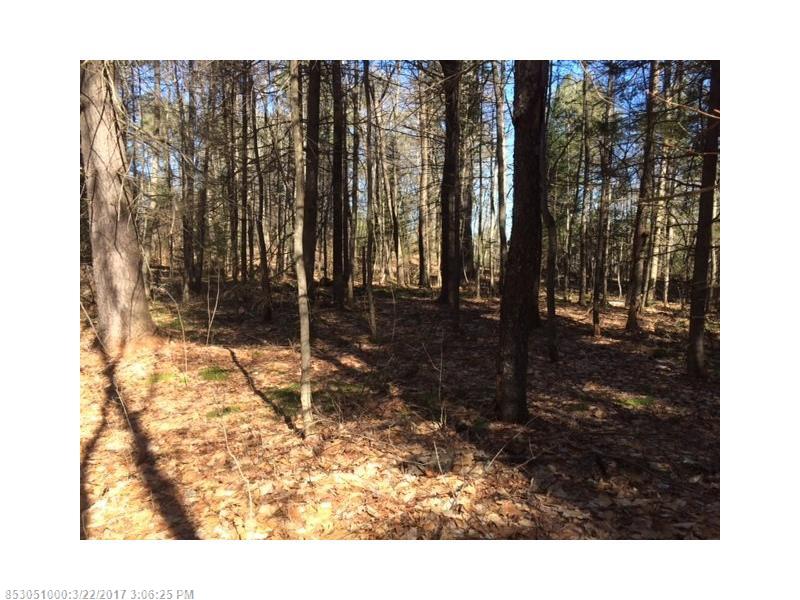 0 Mill Pond Rd, Durham, ME 04222