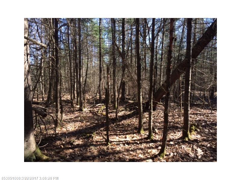0 Mill Pond Rd, Durham, ME 04222