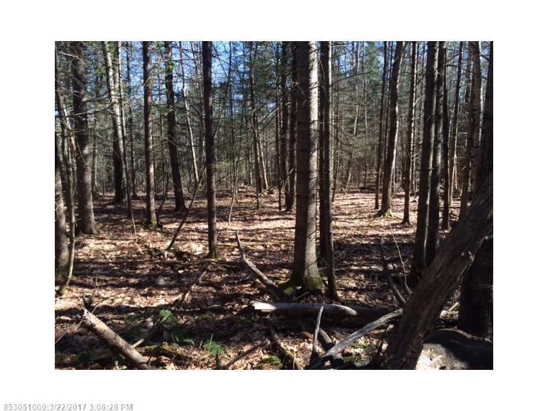 0 Mill Pond Rd, Durham, ME 04222