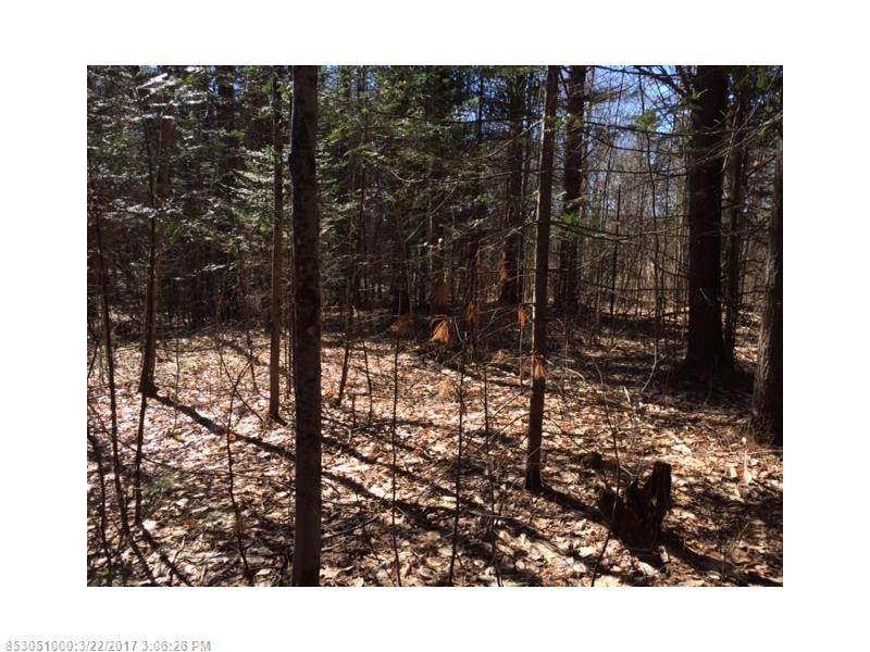 0 Mill Pond Rd, Durham, ME 04222