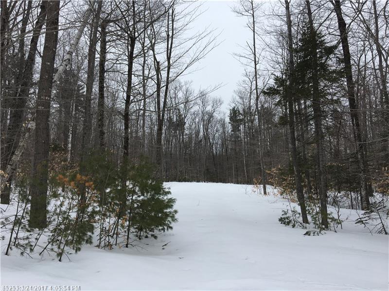 Lot 50 Forrest Lane, Greenwood, ME 04255