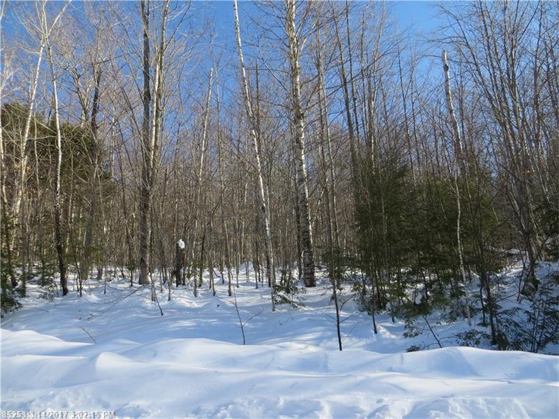 Lot 93 Vail DR, Newry, ME 04261