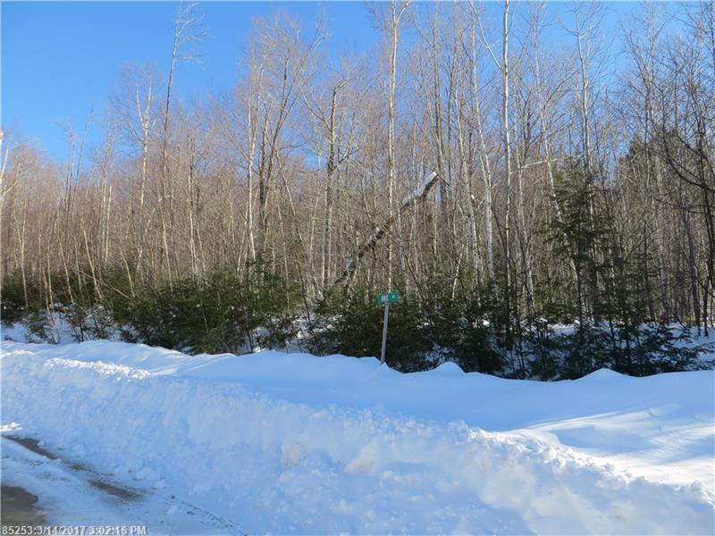 Lot 94 Vail DR, Newry, ME 04261