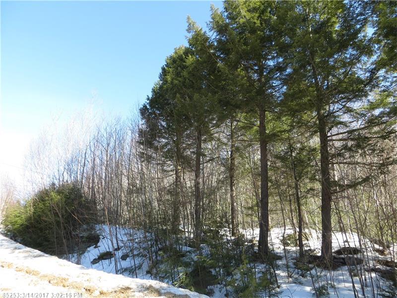 Lot 94 Vail DR, Newry, ME 04261