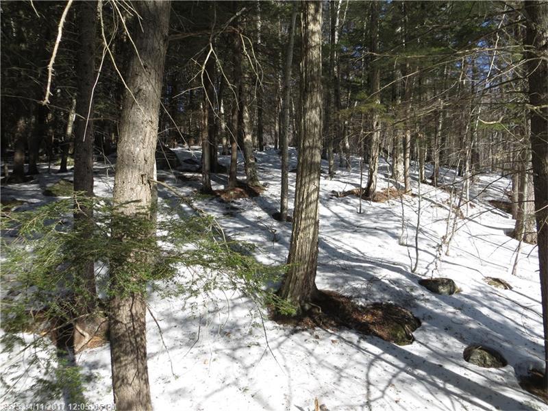 Lot 68 Douglas RD, Newry, ME 04261