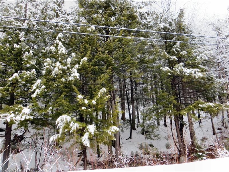 Lot 67 Douglas RD, Newry, ME 04261
