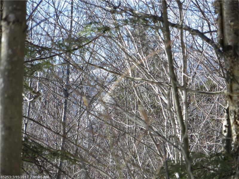 Lot 61 Douglas RD, Newry, ME 04261