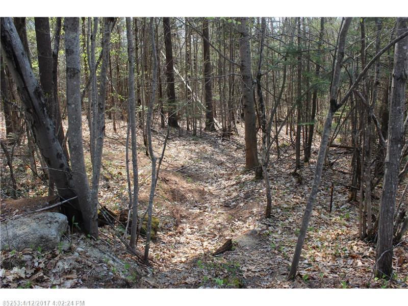 TBD Yagger RD, Norway, ME 04268