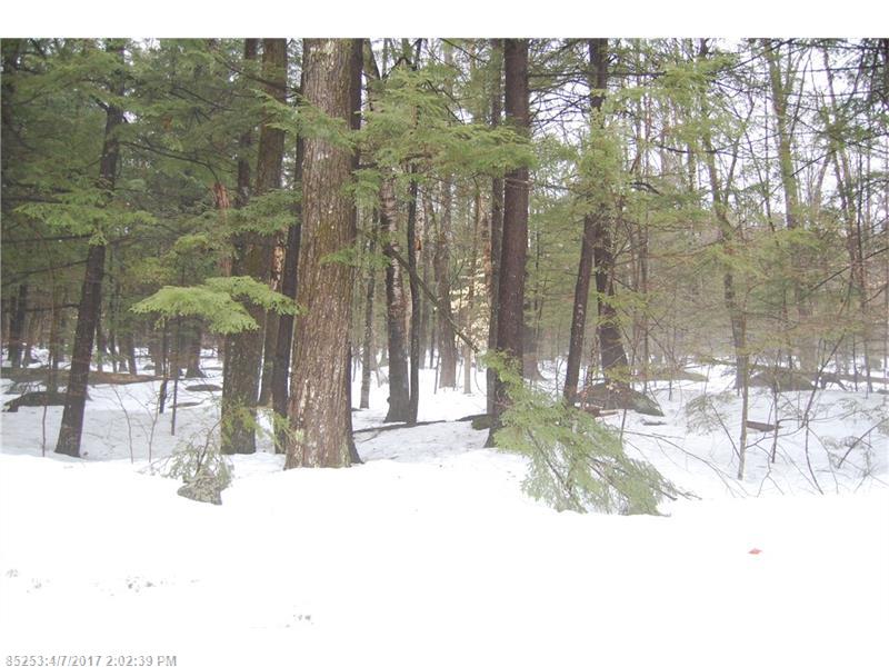 Lot#1 Loon Point LN, Poland, ME 04274