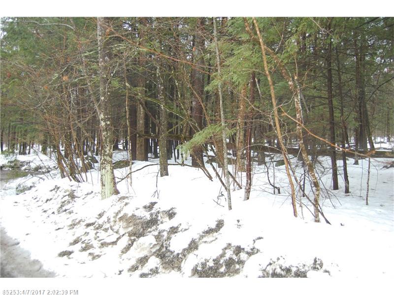 Lot#1 Loon Point LN, Poland, ME 04274