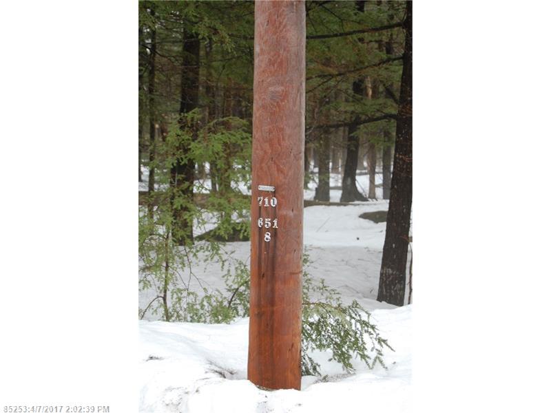 Lot#1 Loon Point LN, Poland, ME 04274