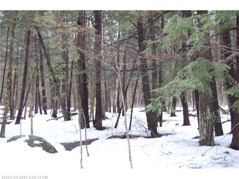 Lot#1 Loon Point LN, Poland, ME 04274