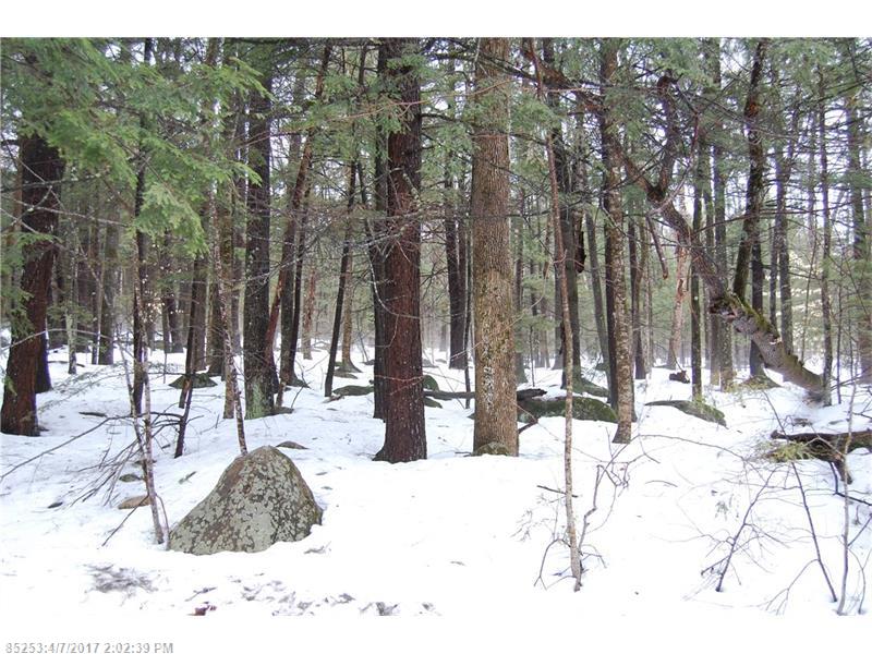 Lot#1 Loon Point LN, Poland, ME 04274