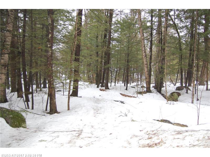 Lot#1 Loon Point LN, Poland, ME 04274