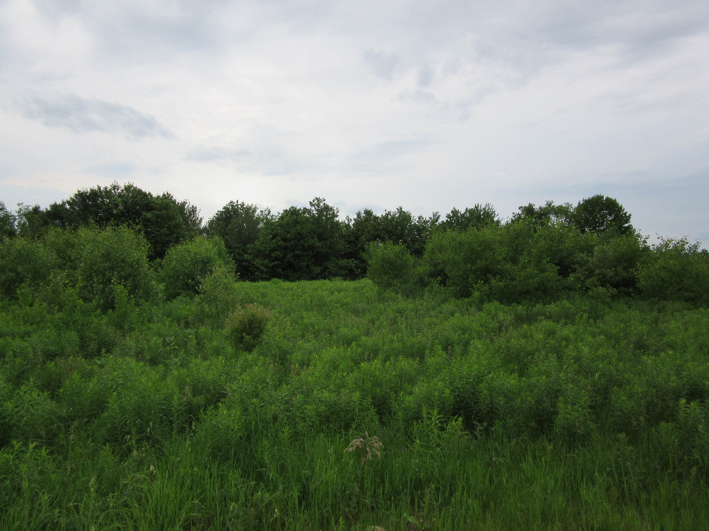0 Holmes Road, Winthrop, ME 04364