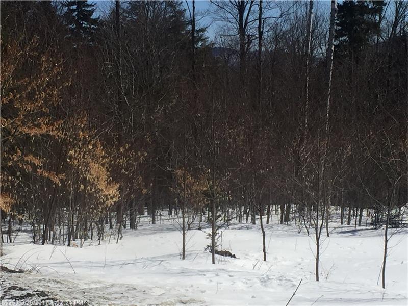 225 North Birch LN, Beaver Cove, ME 04401