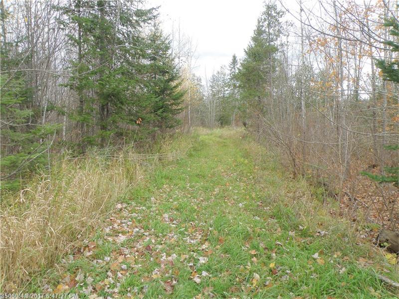 Lot 4and 5 Storer RD, Bradford, ME 04410
