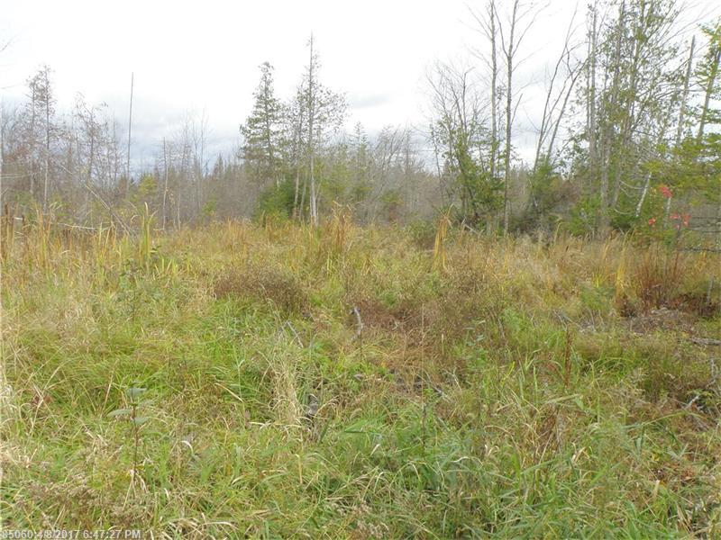Lot 4and 5 Storer RD, Bradford, ME 04410
