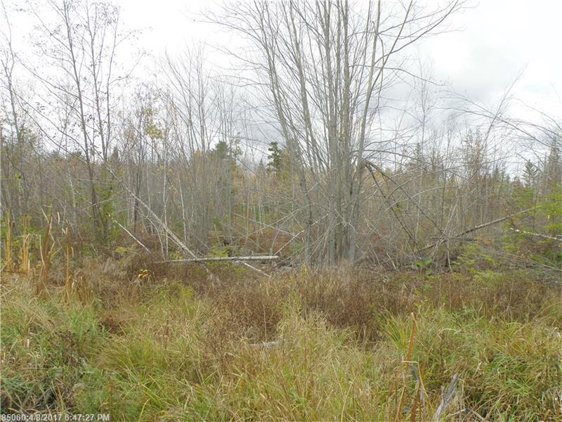 Lot 4and 5 Storer RD, Bradford, ME 04410