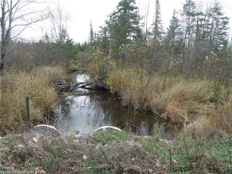 Lot 4and 5 Storer RD, Bradford, ME 04410