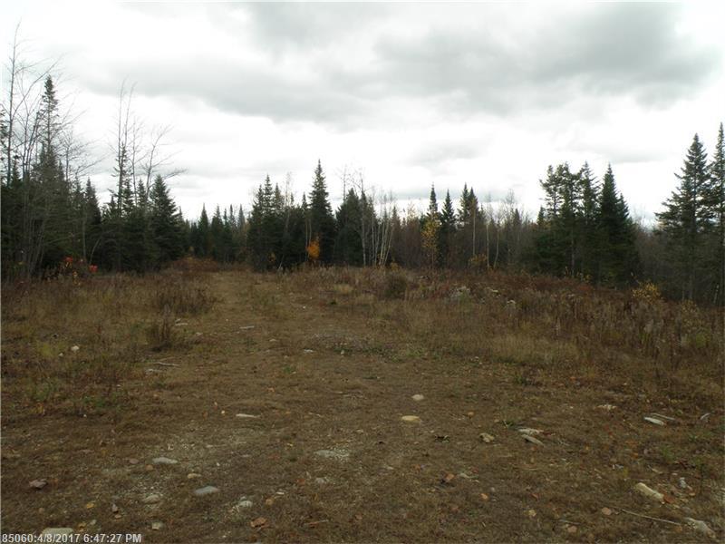 Lot 4and 5 Storer RD, Bradford, ME 04410