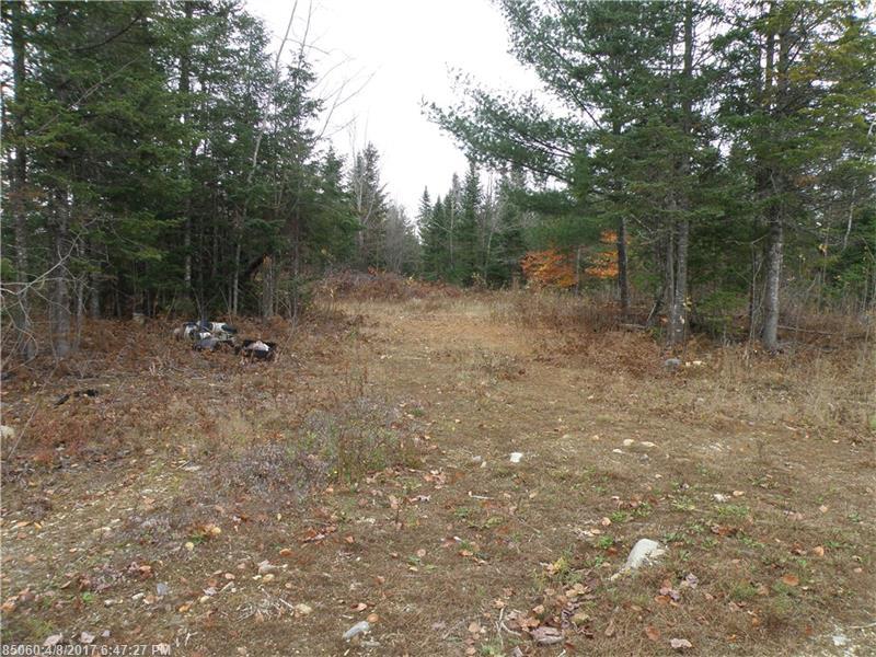 Lot 4and 5 Storer RD, Bradford, ME 04410