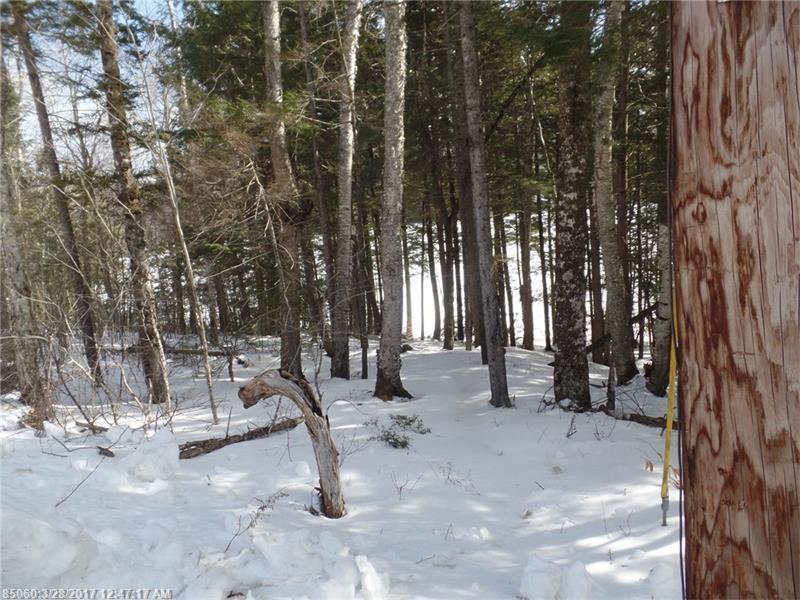 160 Hurd Point RD, Dedham, ME 04429